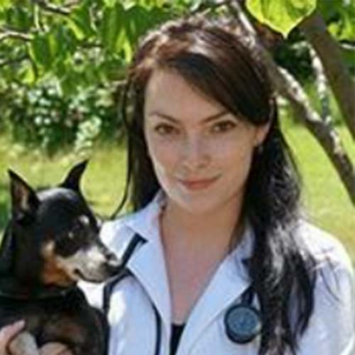 Dr. Brittany de Wolf, Groton Veterinarian