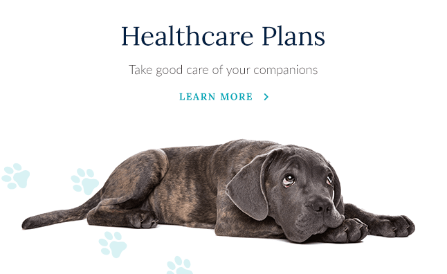 Hospital health care plan